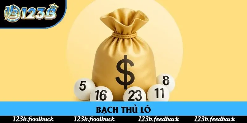 Bạch Thủ Lô: Cùng 123B Giải Mã Phương Pháp Chơi Xổ Số