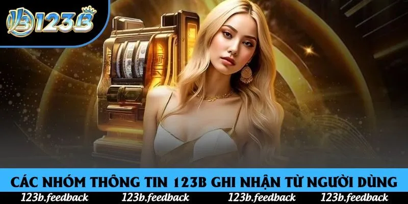 Các nhóm thông tin 123B ghi nhận từ người dùng Các nhóm thông tin 123B ghi nhận từ người dùng