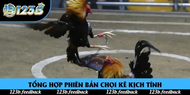 Tổng hợp phiên bản chọi kê kịch tính Tổng hợp phiên bản chọi kê kịch tính