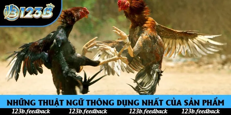 Những thuật ngữ thông dụng nhất của sản phẩm Những thuật ngữ thông dụng nhất của sản phẩm