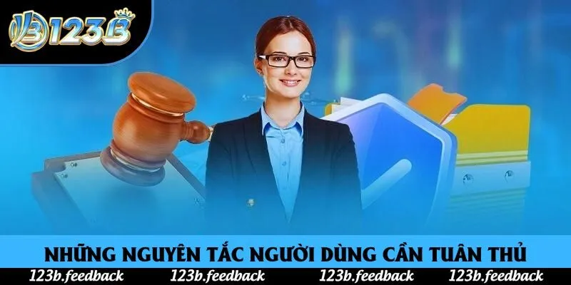 Những nguyên tắc người dùng cần tuân thủ Những nguyên tắc người dùng cần tuân thủ