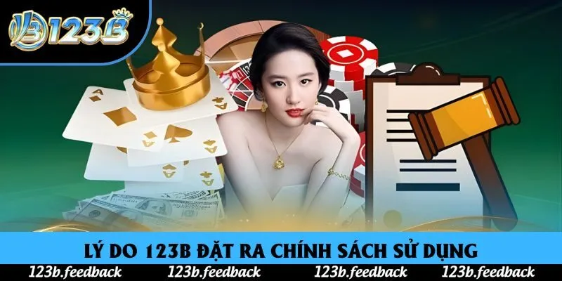 Lý do 123B đặt ra chính sách sử dụng Lý do 123B đặt ra chính sách sử dụng