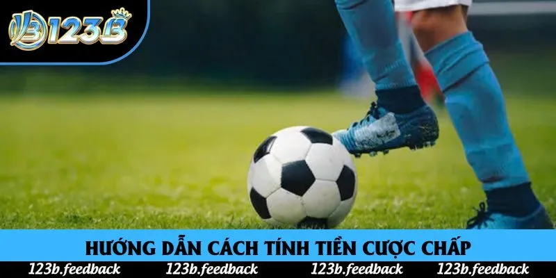 Hướng dẫn thành viên cách tính tiền cược chấp là gì