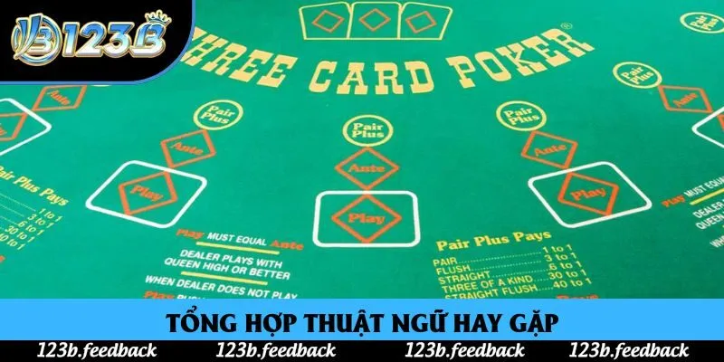 Tổng hợp thuật ngữ hay gặp Tổng hợp thuật ngữ hay gặp