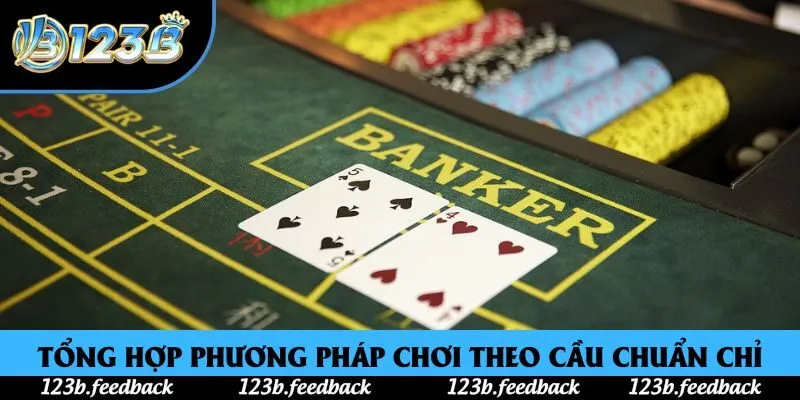 Tổng hợp phương pháp chơi theo cầu chuẩn chỉ